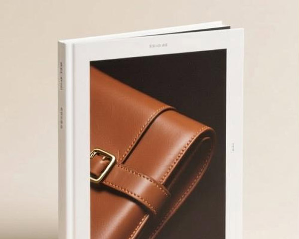 天振順皮具宣傳冊設計制作案例