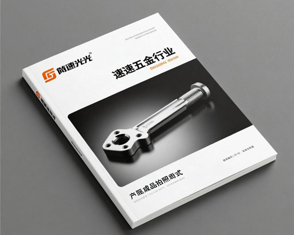 風(fēng)建迪醫(yī)院畫冊設(shè)計(jì)印刷案例